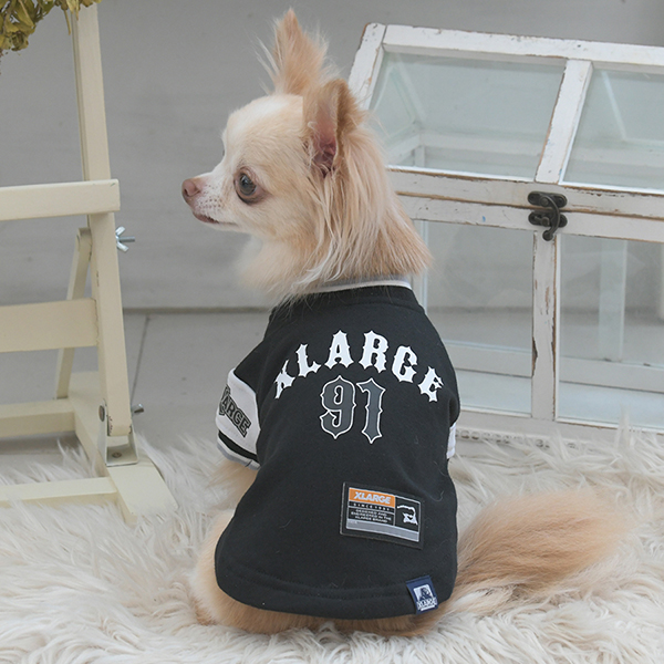 2025新商品 XLARGE（エクストララージ）ロゴプルオーバー