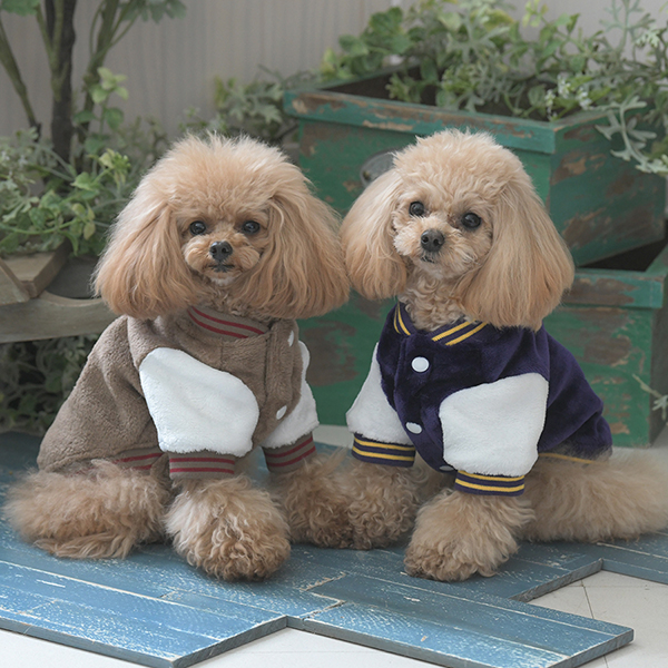 2025秋冬 XLARGE(エクストララージ)OGスタジャン