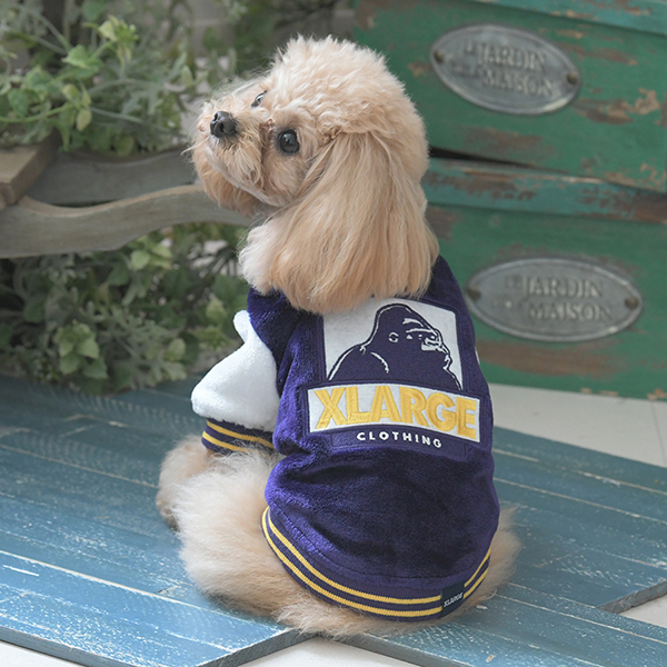 2025秋冬 XLARGE(エクストララージ)OGスタジャン