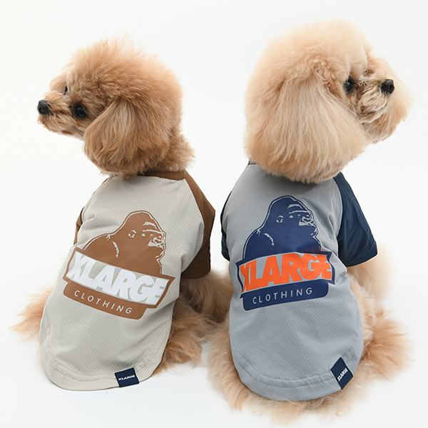 2026新商品 XLARGE（エクストララージ）OGラグラン風メッシュT