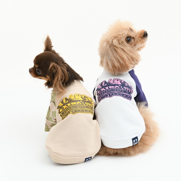 2026新商品 XLARGE（エクストララージ）ラグラントレーナー