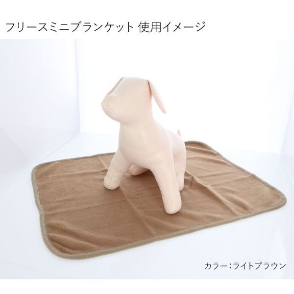【あったかグッズ】フリースミニブランケット | カフェマットやキャンプなどのアウトドアに！