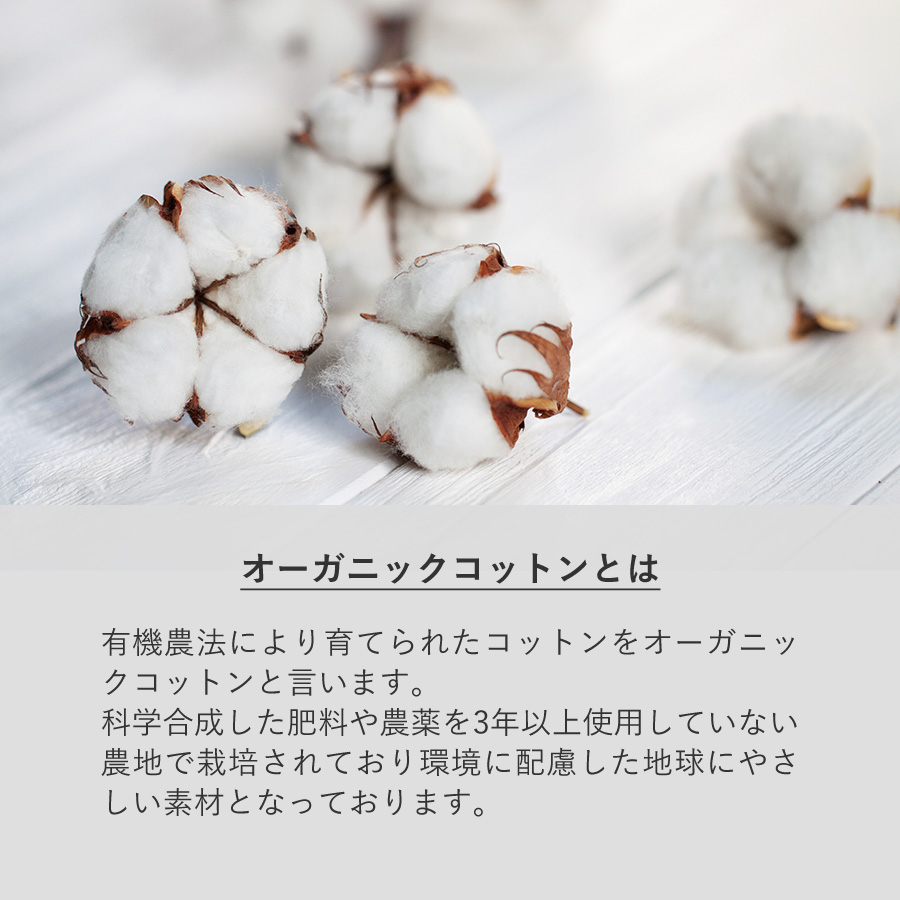 【クールグッズ】フェアトレードコットンスクエア保冷トート Mサイズ
