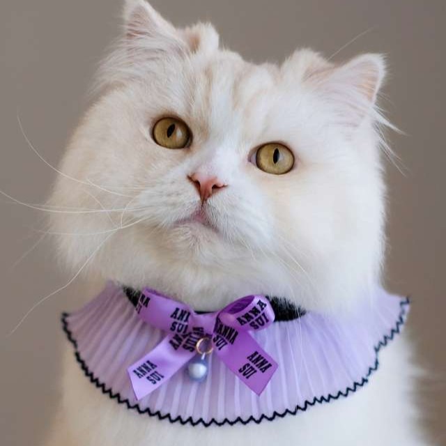 ANNA SUI（アナスイ） 猫用リボン付シフォンプリーツシュシュ首輪