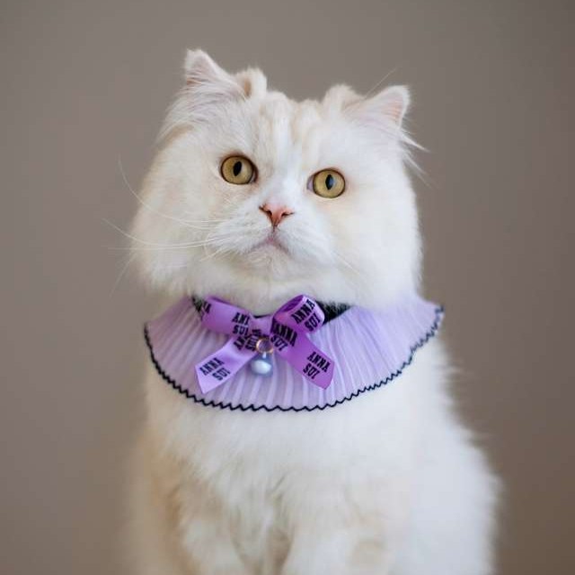ANNA SUI（アナスイ） 猫用リボン付シフォンプリーツシュシュ首輪