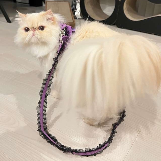 ANNA SUI（アナスイ） 猫用フリル付きリード｜全2色