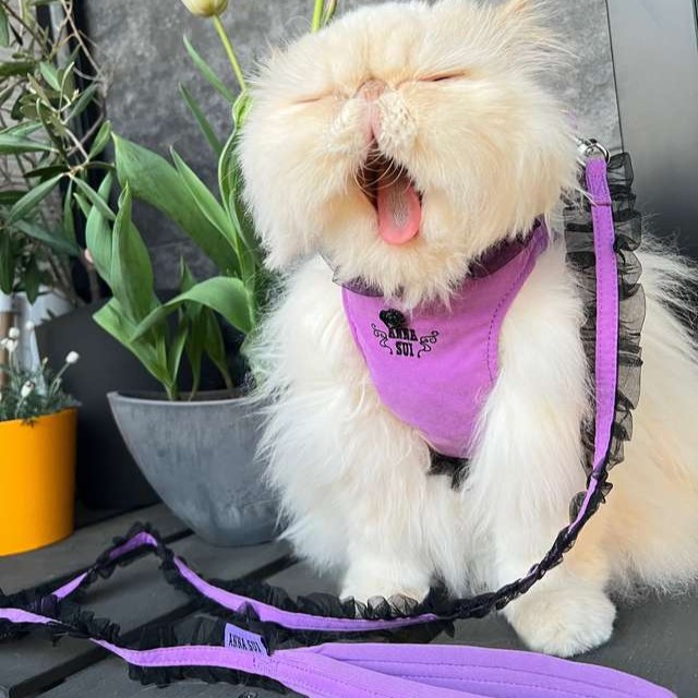 ANNA SUI（アナスイ） 猫用フリル付きハーネス｜全2色