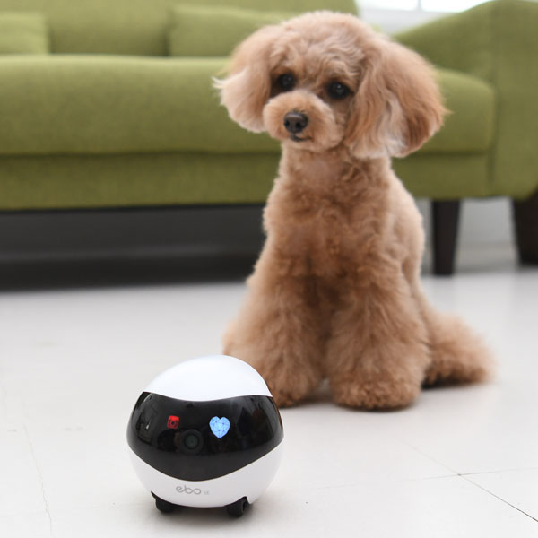 EBO SE  (イーボ エスイー) | 愛犬・愛猫や家族の見守りカメラ