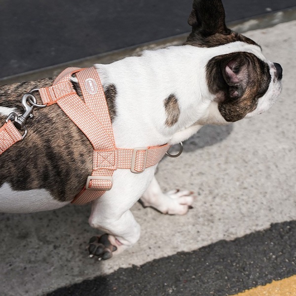 HOWLPOT（ハウルポット）大型犬用ハーネス /  HCC LARGE CLUB HARNESS｜全2色