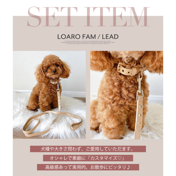 LOAR（ロア） エコレザーリード｜全6色
