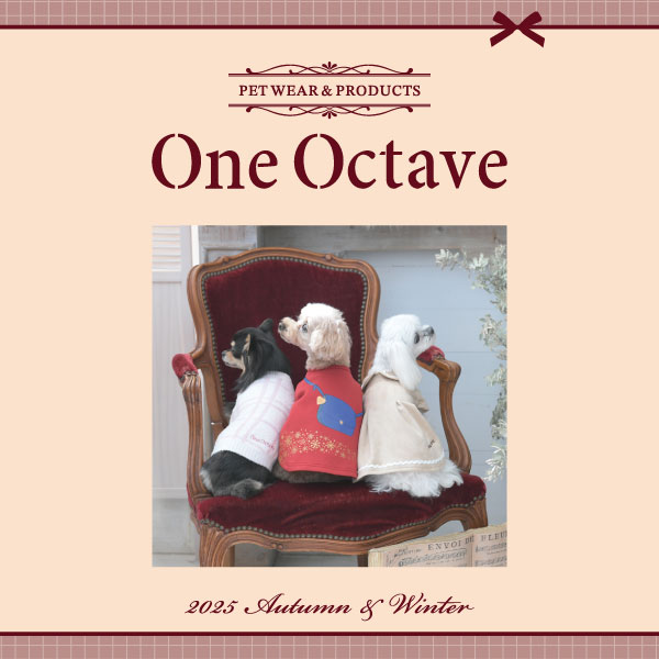 2025新商品 ONE OCTAVE（ワンオクターヴ）もちもちルームウェア
