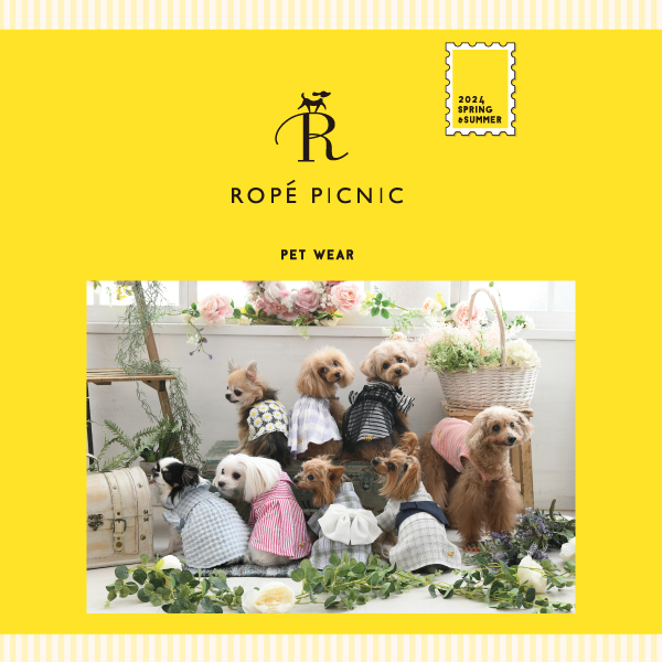 ROPE PICNIC（ロペピクニック）リブボーダーキャミ