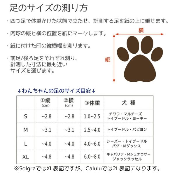 Solgra（ソルグラ）星柄ラバーソックス｜全2色