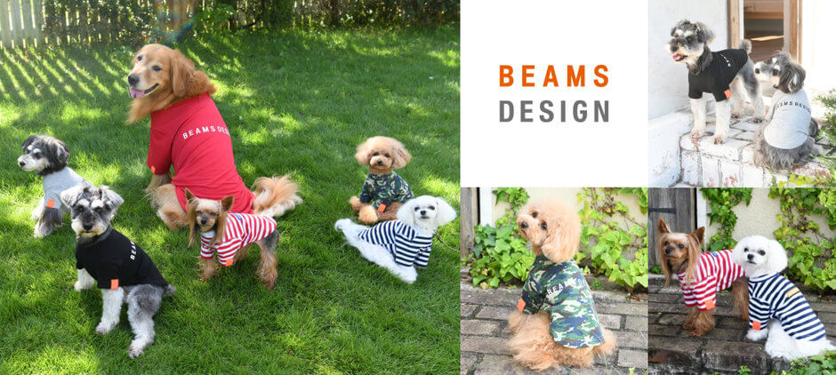 Beams clearance for dogs